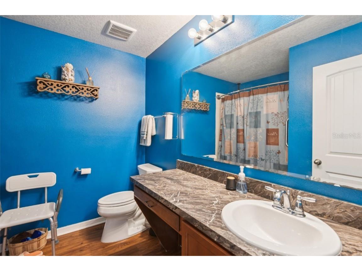 4248 Moon Shadow Loop Mulberry FL 33860 TB8426857 image25