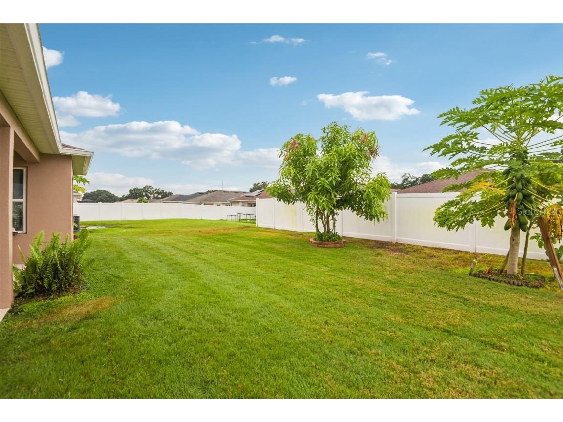 4248 Moon Shadow Loop Mulberry FL 33860 TB8426857 image43