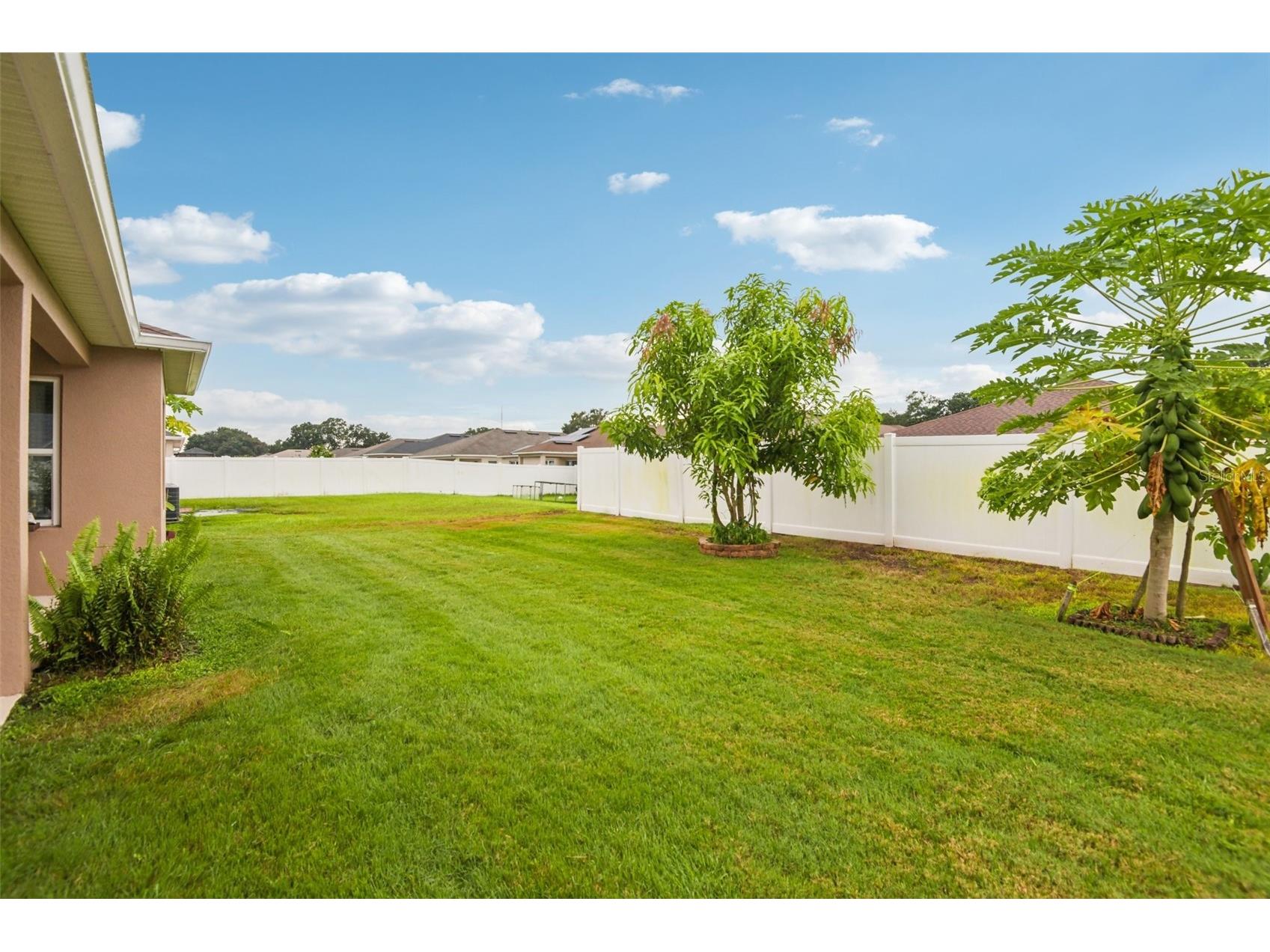 4248 Moon Shadow Loop Mulberry FL 33860 TB8483200 image41