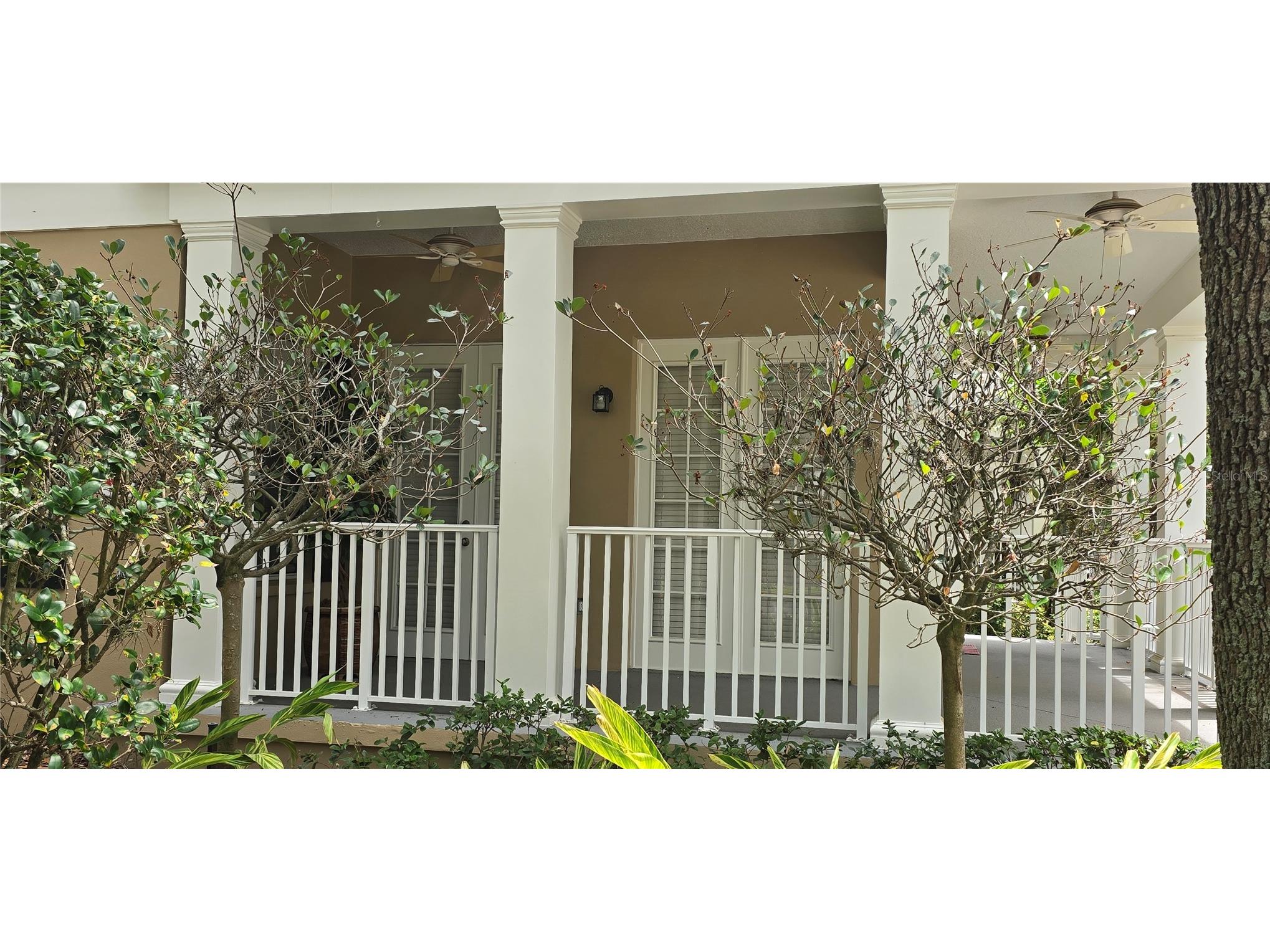 4249 Corrine Drive #8-104 Orlando FL 32814 O6407092 image23