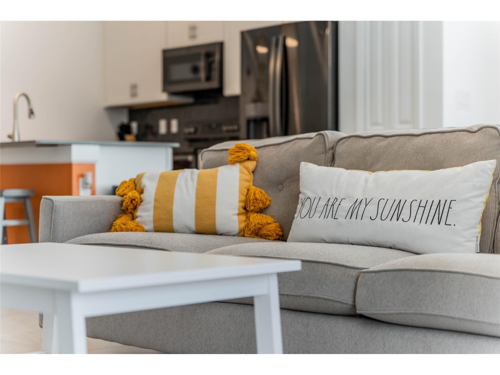 4249 Paragraph Drive Kissimmee FL 34746 O6386762 image15