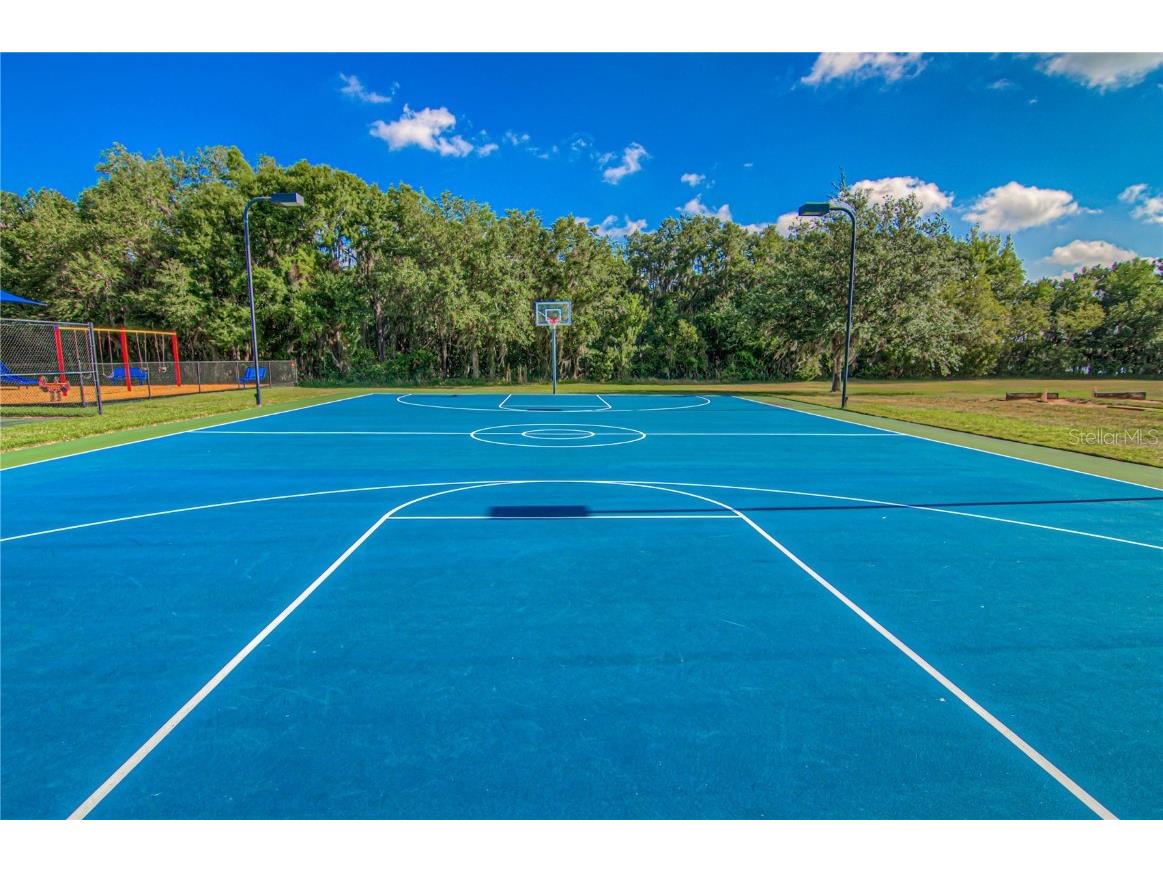 4249 Windchime Lane Lakeland FL 33811 L4954605 image43