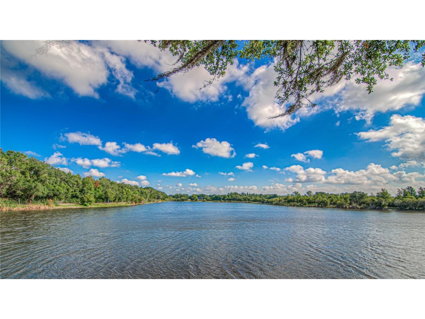 4249 Windchime Lane Lakeland FL 33811 L4954605 image45