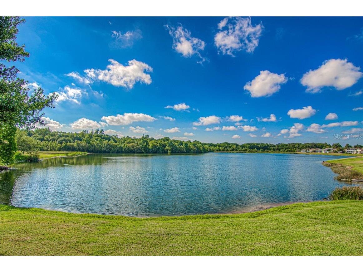 4249 Windchime Lane Lakeland FL 33811 L4954605 image46