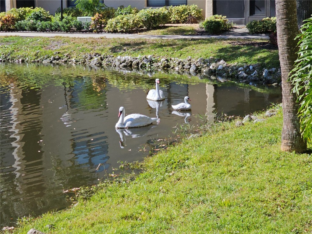 425 30th Avenue W #C104 Bradenton FL 34205 A4648637 image25