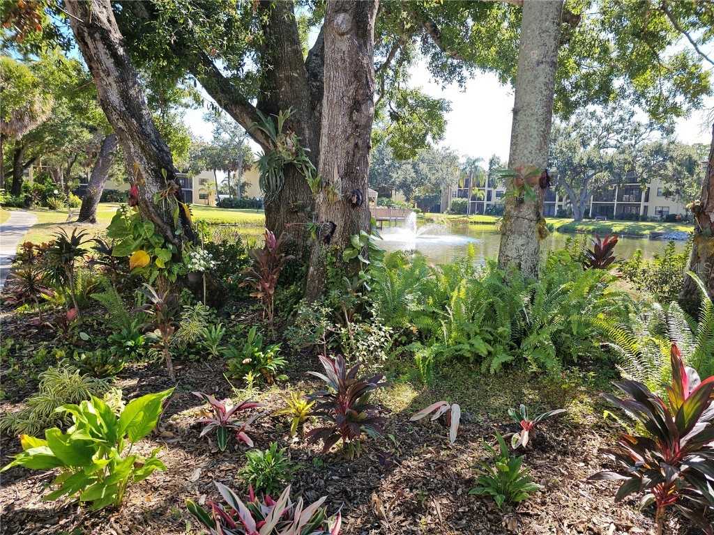 425 30th Avenue W #C104 Bradenton FL 34205 A4648637 image32