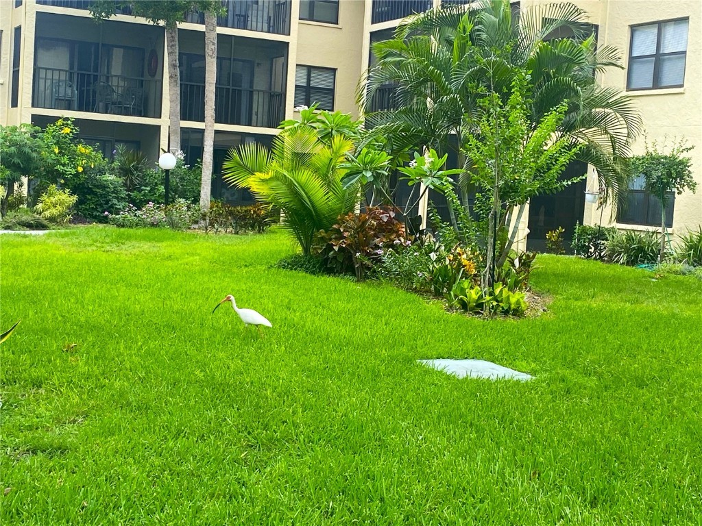 425 30th Avenue W #C211 Bradenton FL 34205 A4657645 image23