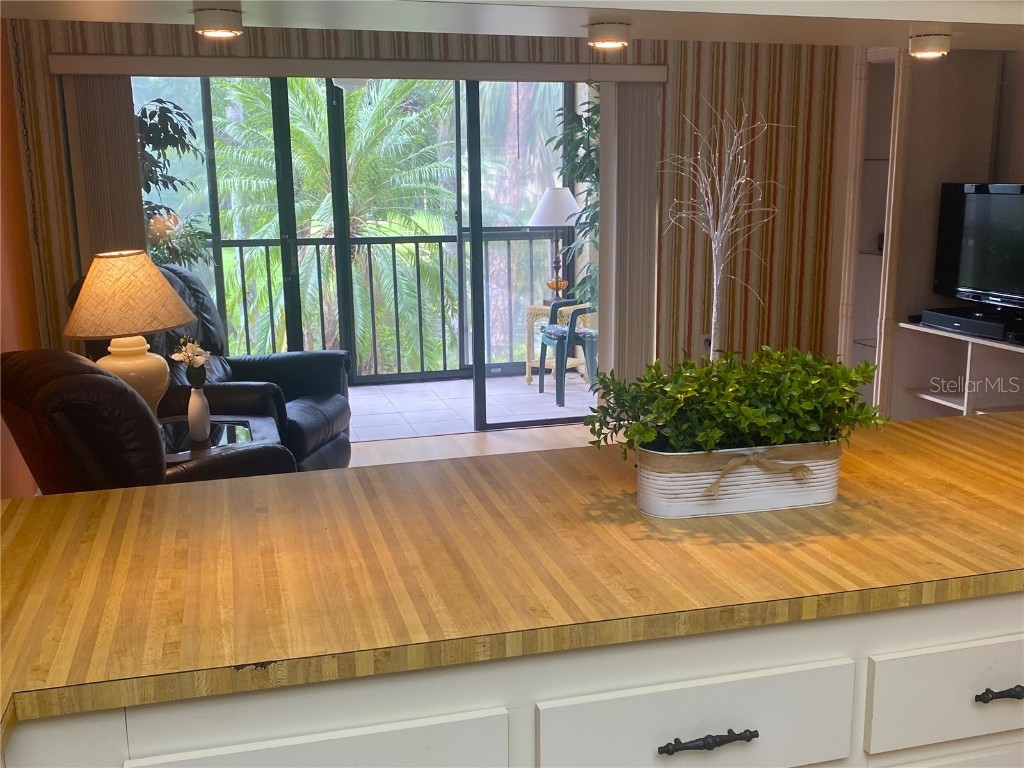 425 30th Avenue W #C211 Bradenton FL 34205 A4657645 image9