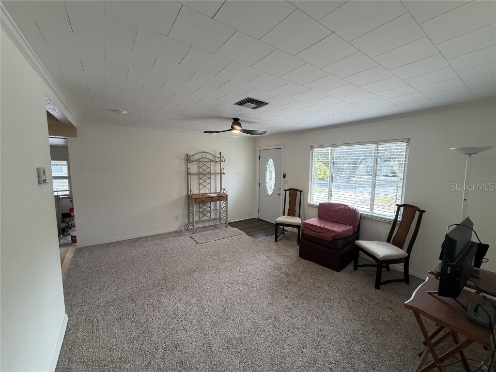 425 40th Avenue NE Saint Petersburg FL 33703 TB8447694 image15