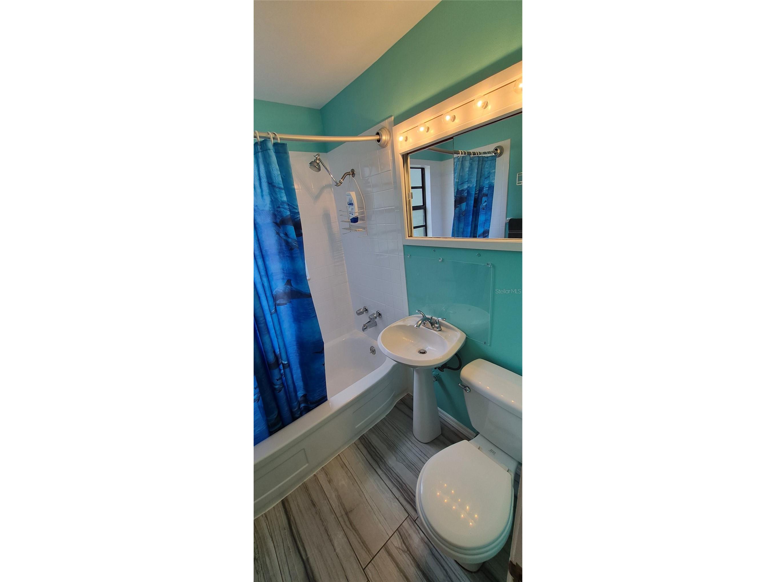 425 40th Avenue NE Saint Petersburg FL 33703 TB8515678 image9
