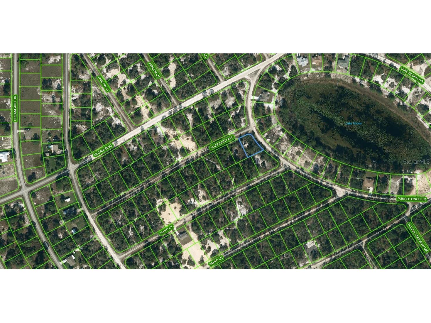 425 Allegheny Avenue Lake Placid FL 33852 OM624328 image1