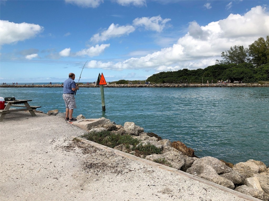 425 Baneberry Court Nokomis FL 34275 N6141898 image87