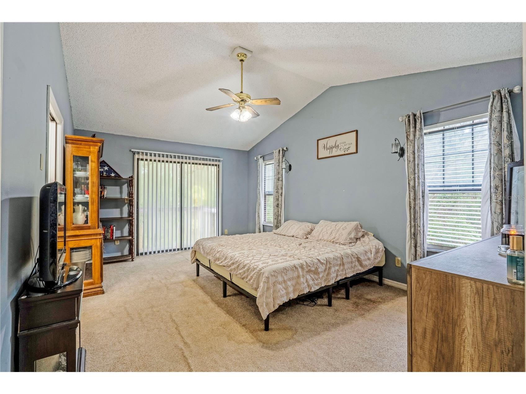 425 Black Ironwood Drive Deland FL 32724 V4946530 image13