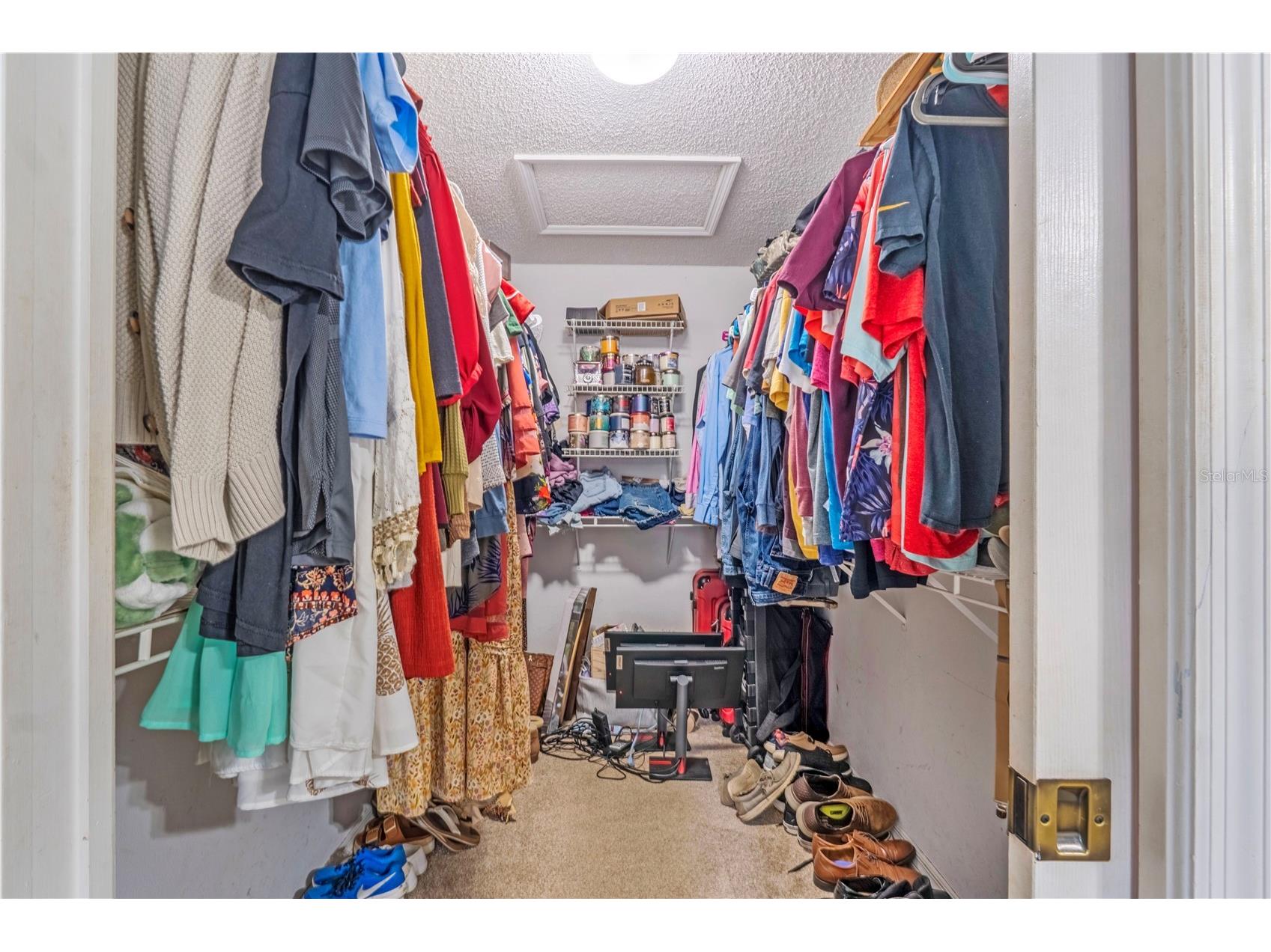 425 Black Ironwood Drive Deland FL 32724 V4946530 image15