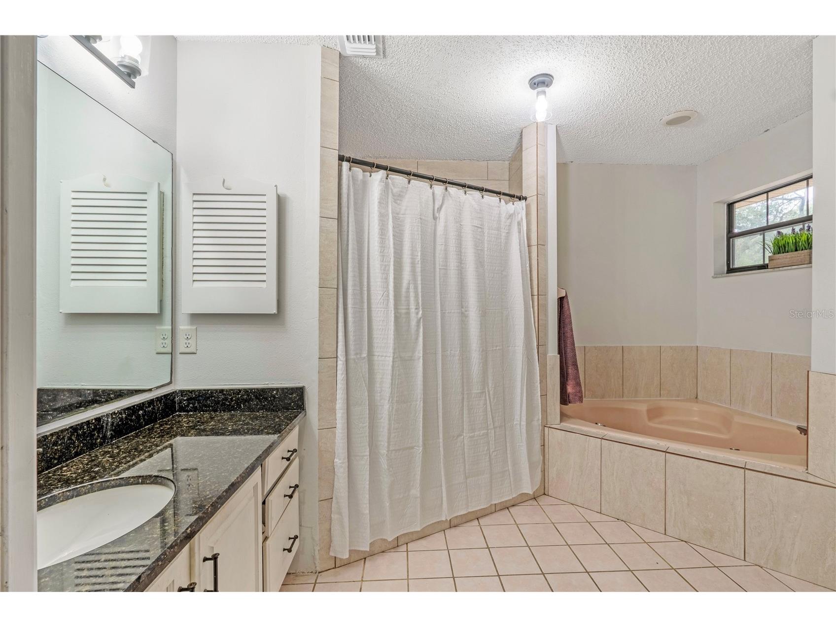 425 Black Ironwood Drive Deland FL 32724 V4946530 image16