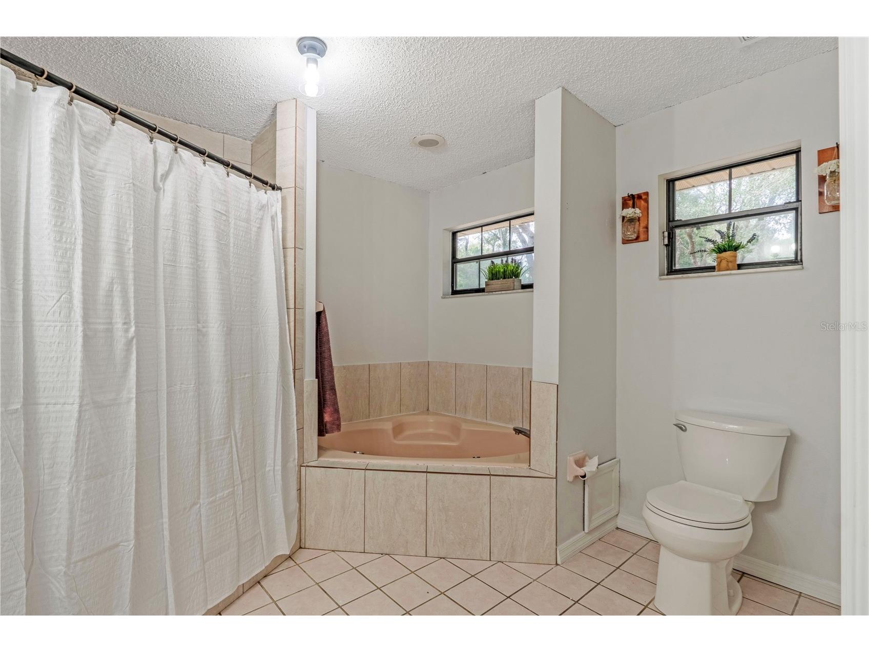 425 Black Ironwood Drive Deland FL 32724 V4946530 image17