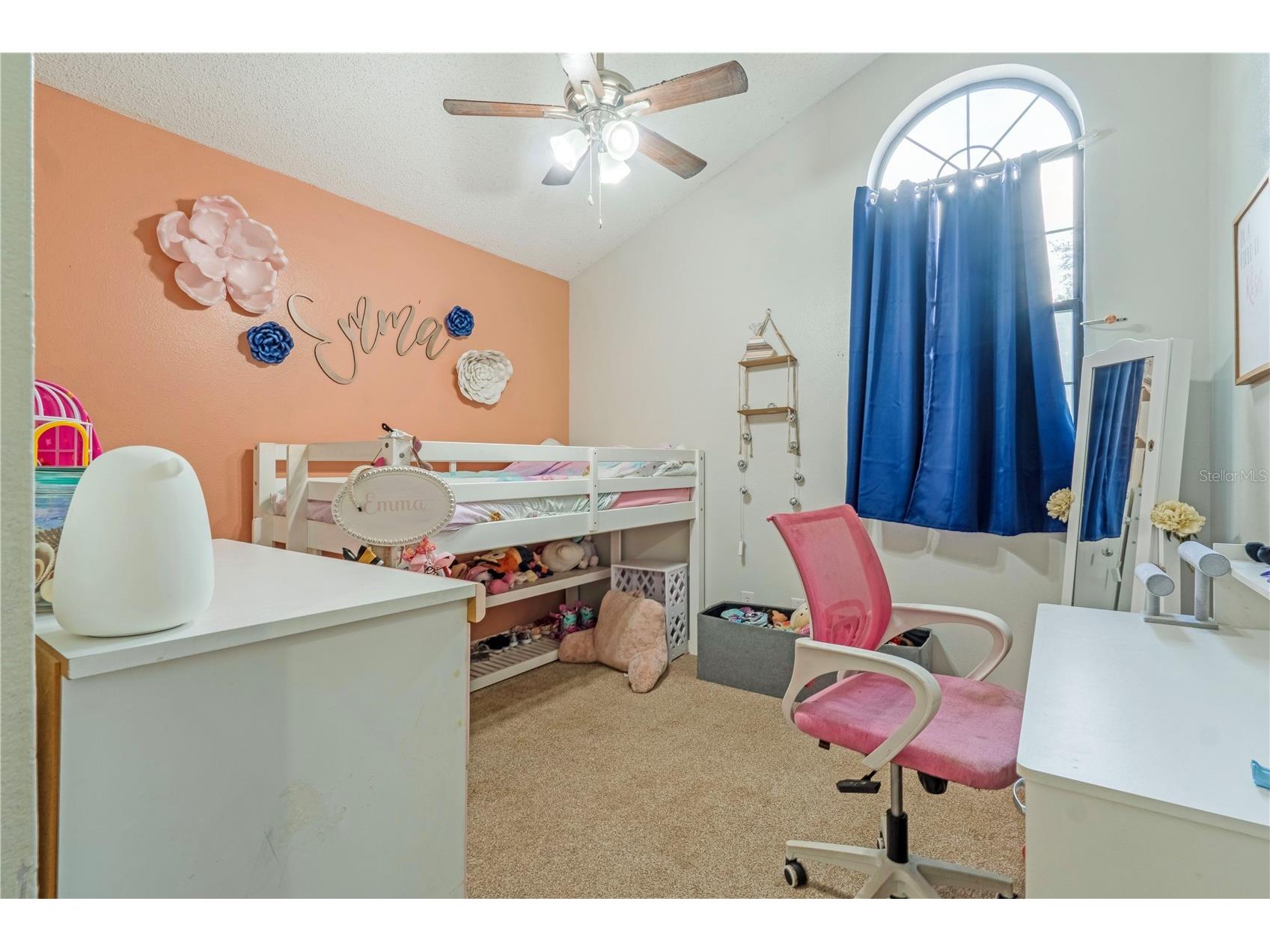 425 Black Ironwood Drive Deland FL 32724 V4946530 image19