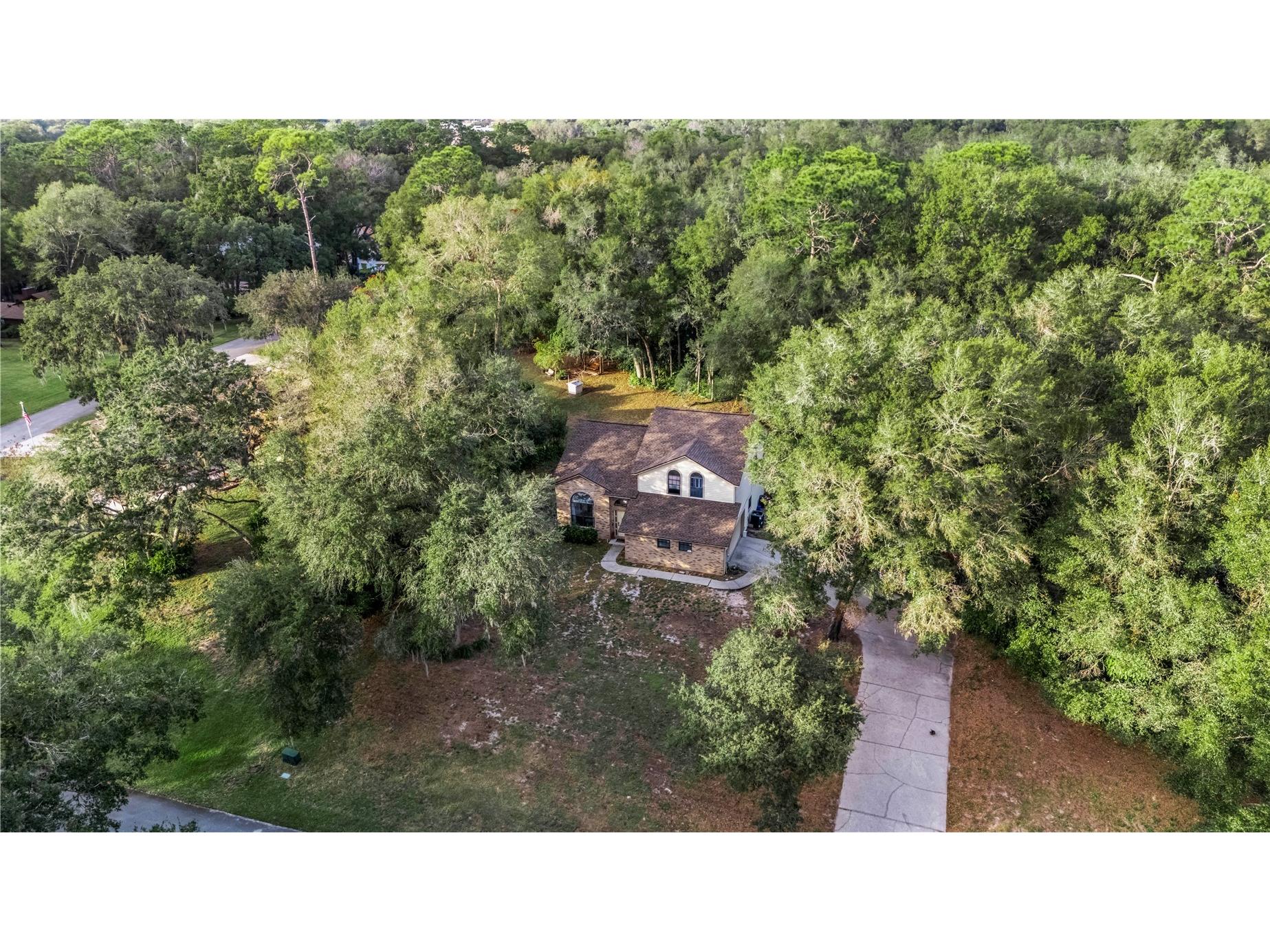 425 Black Ironwood Drive Deland FL 32724 V4946530 image2