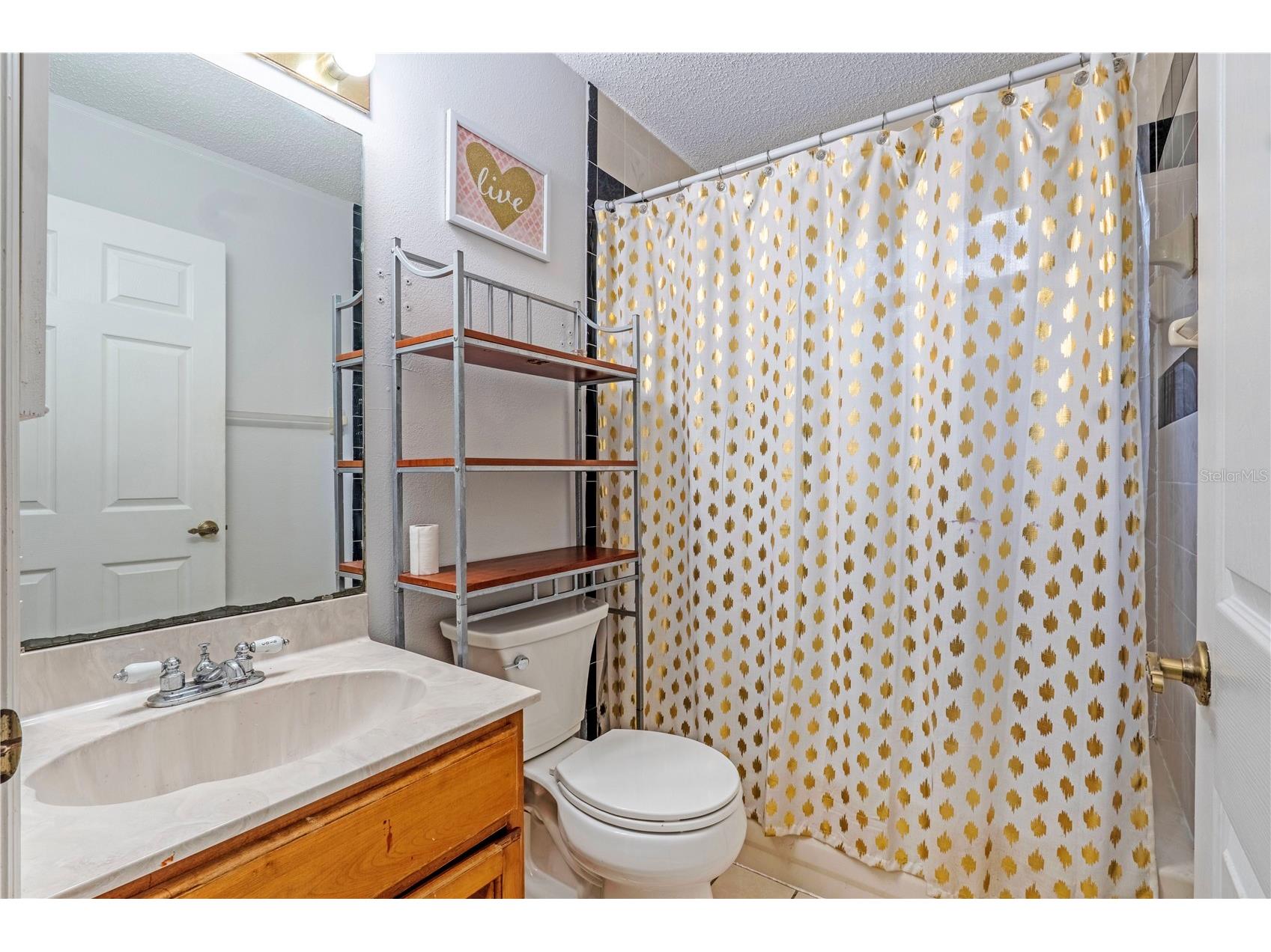 425 Black Ironwood Drive Deland FL 32724 V4946530 image20