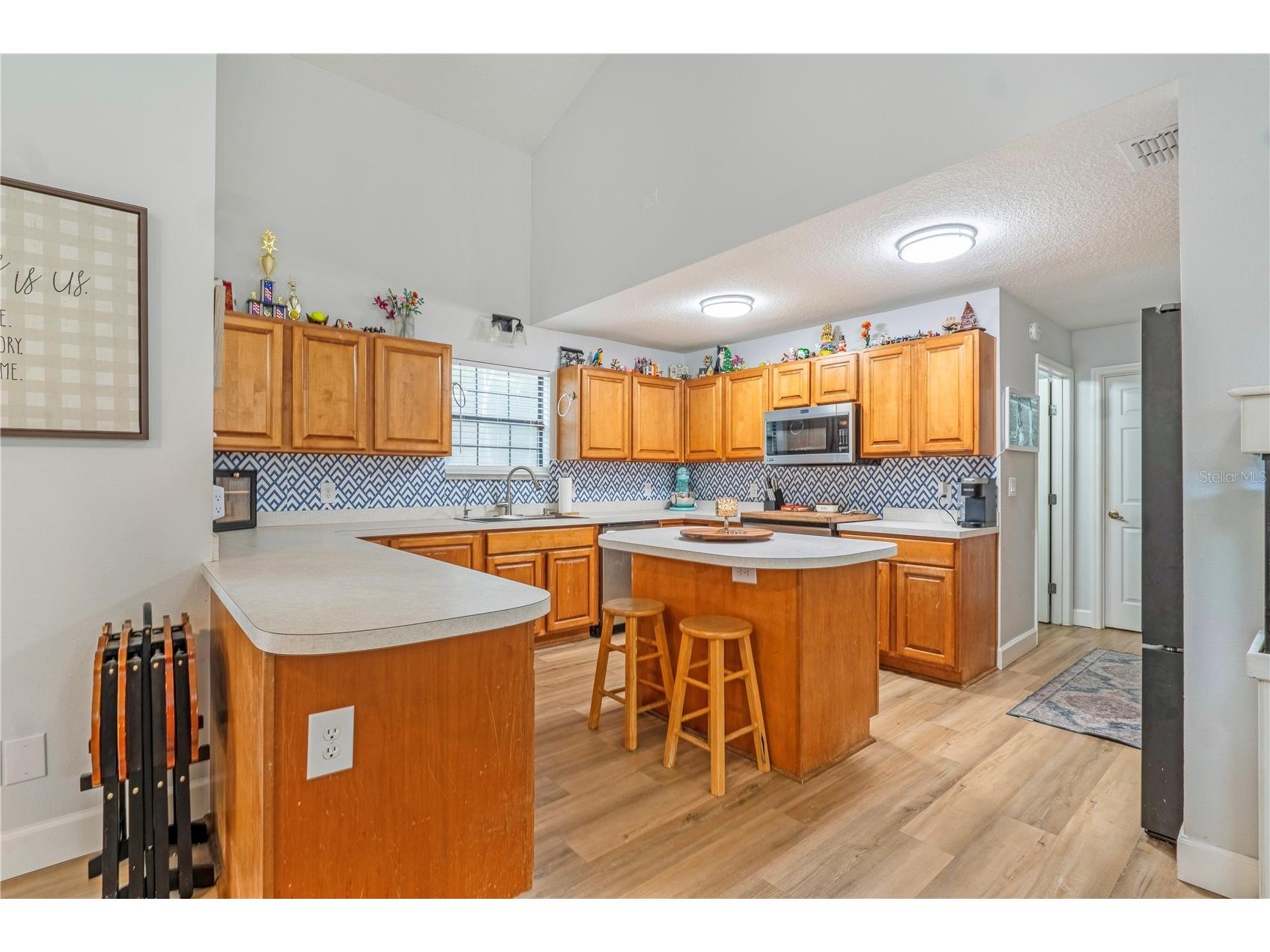 425 Black Ironwood Drive Deland FL 32724 V4946530 image9