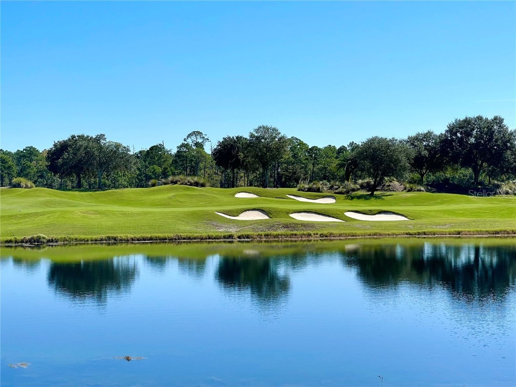 425 Bourganville Drive Palm Coast FL 32137 FC286496 image1