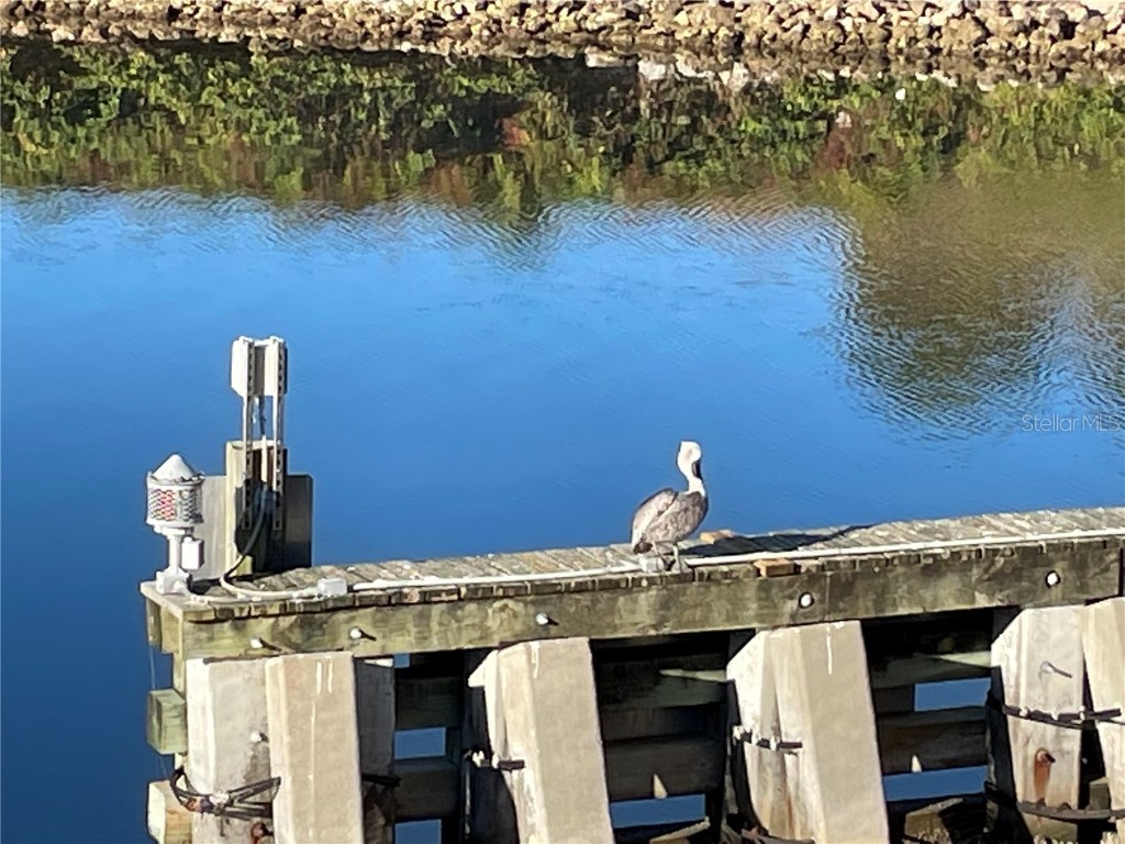 425 Cerromar Terrace #359 Venice FL 34293 A4586901 image31