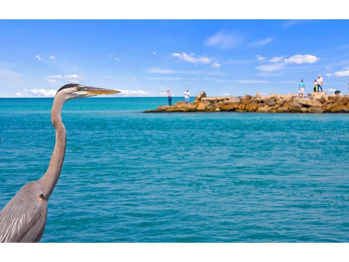 425 Cerromar Terrace #359 Venice FL 34293 A4586901 image49