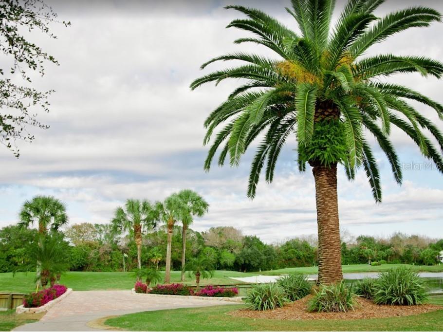 425 Cerromar Terrace #359 Venice FL 34293 A4659236 image45