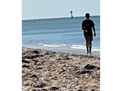 425 Cerromar Terrace #359 Venice FL 34293 A4659236 image50