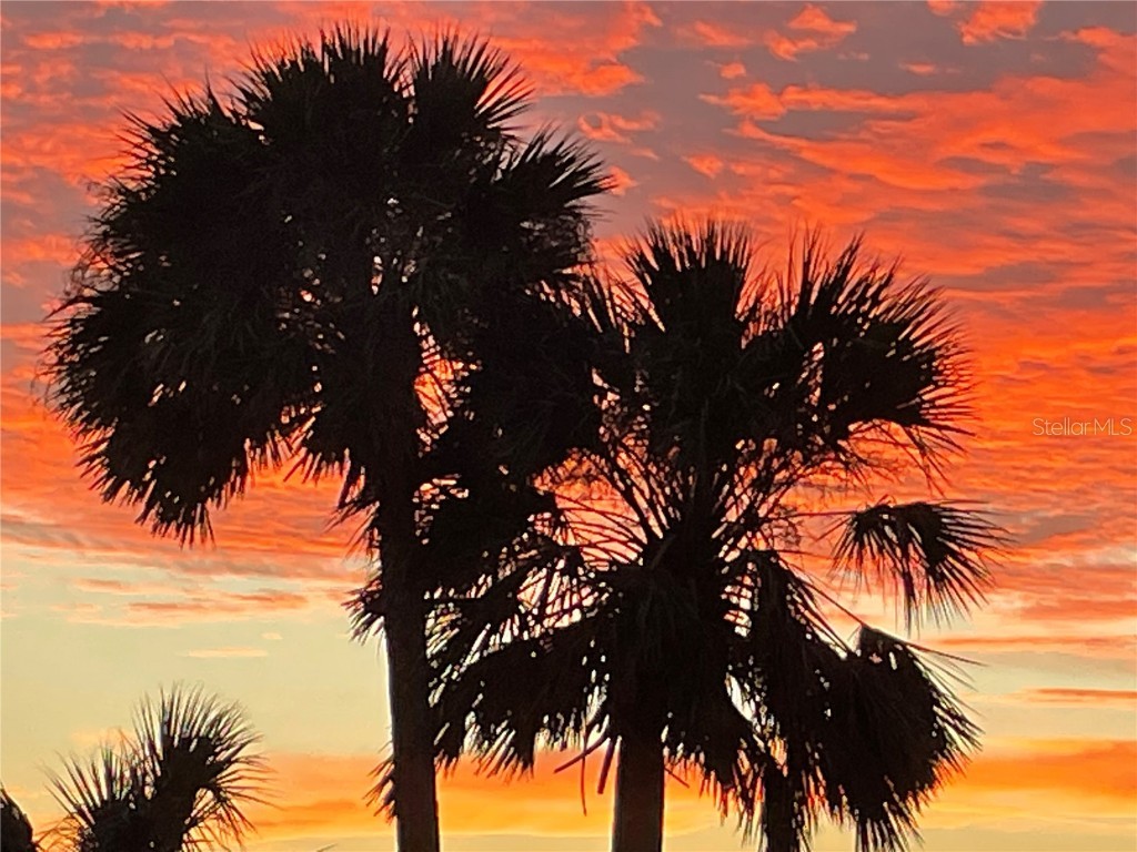 425 Cerromar Terrace #359 Venice FL 34293 A4659236 image60