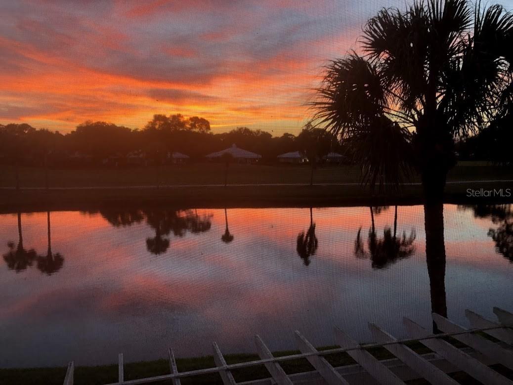425 Cerromar Terrace #459 Venice FL 34293 N6143416 image1