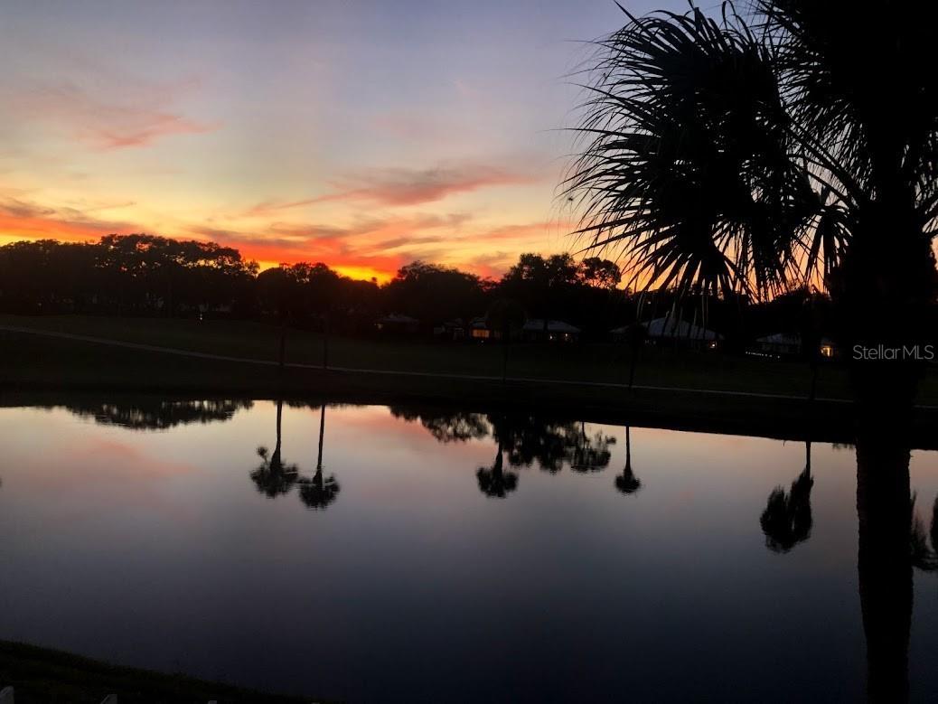 425 Cerromar Terrace #459 Venice FL 34293 N6143416 image28