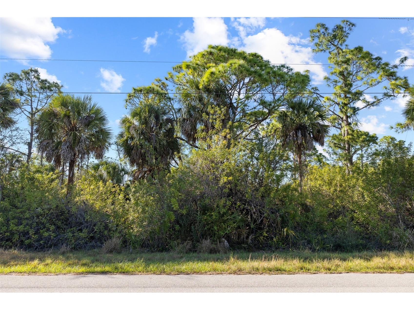 425 Cheshire Street Port Charlotte FL 33953 - CHESHIRE WATERWAY TB8504974 image1