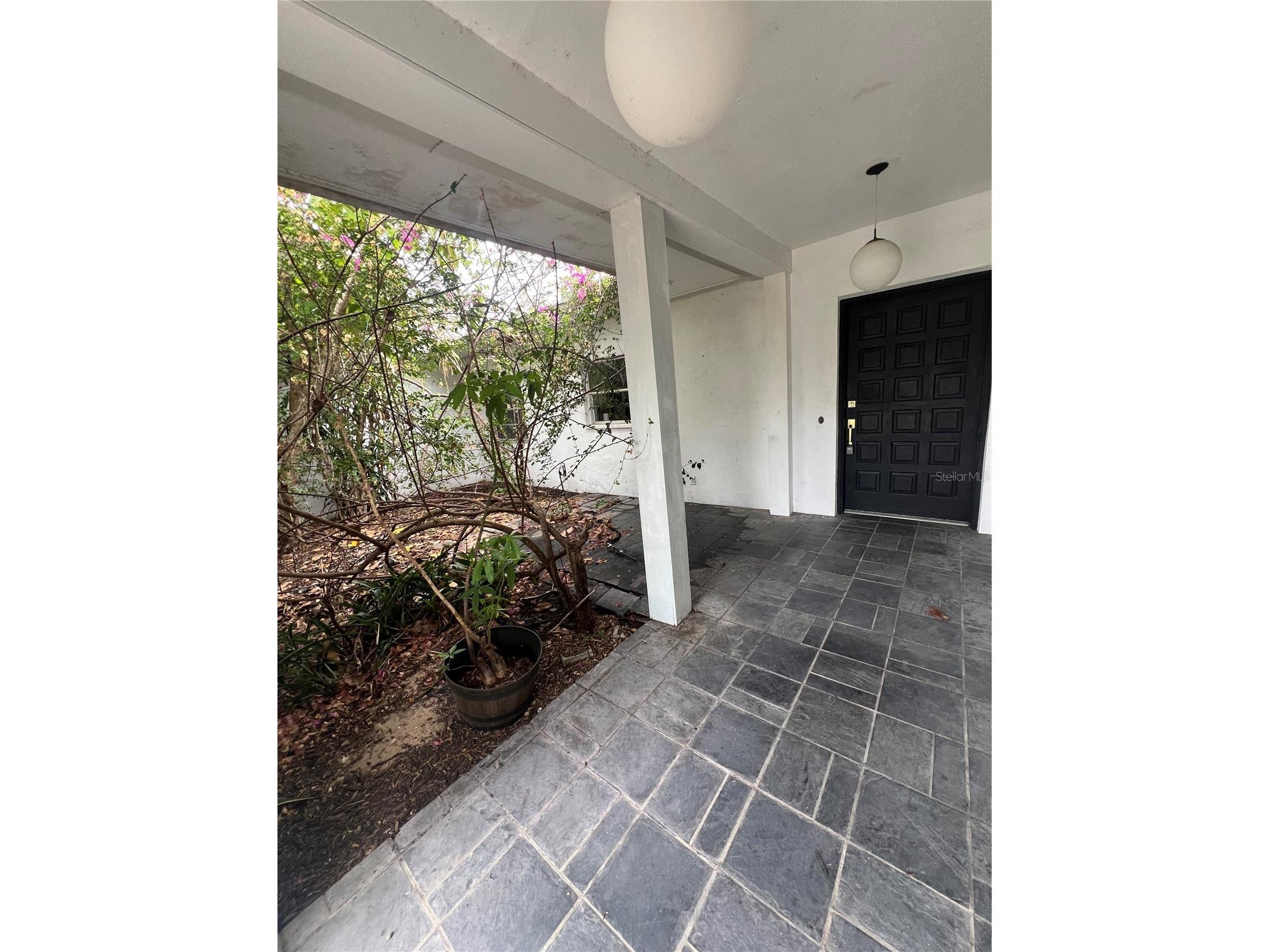 425 Craig Drive Tarpon Springs FL 34689 W7887593 image12