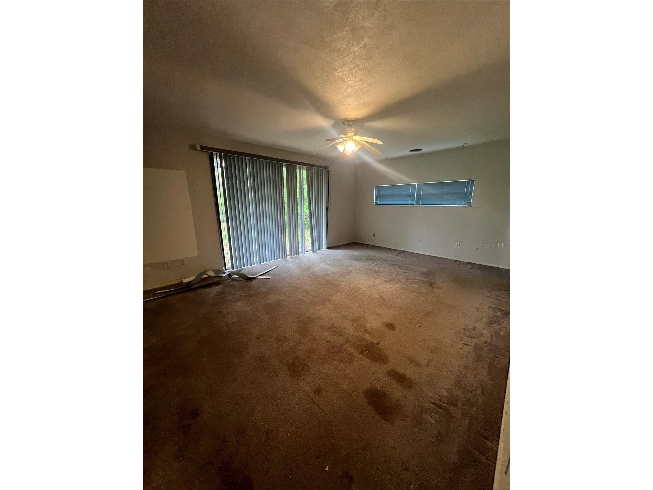 425 Craig Drive Tarpon Springs FL 34689 W7887593 image15