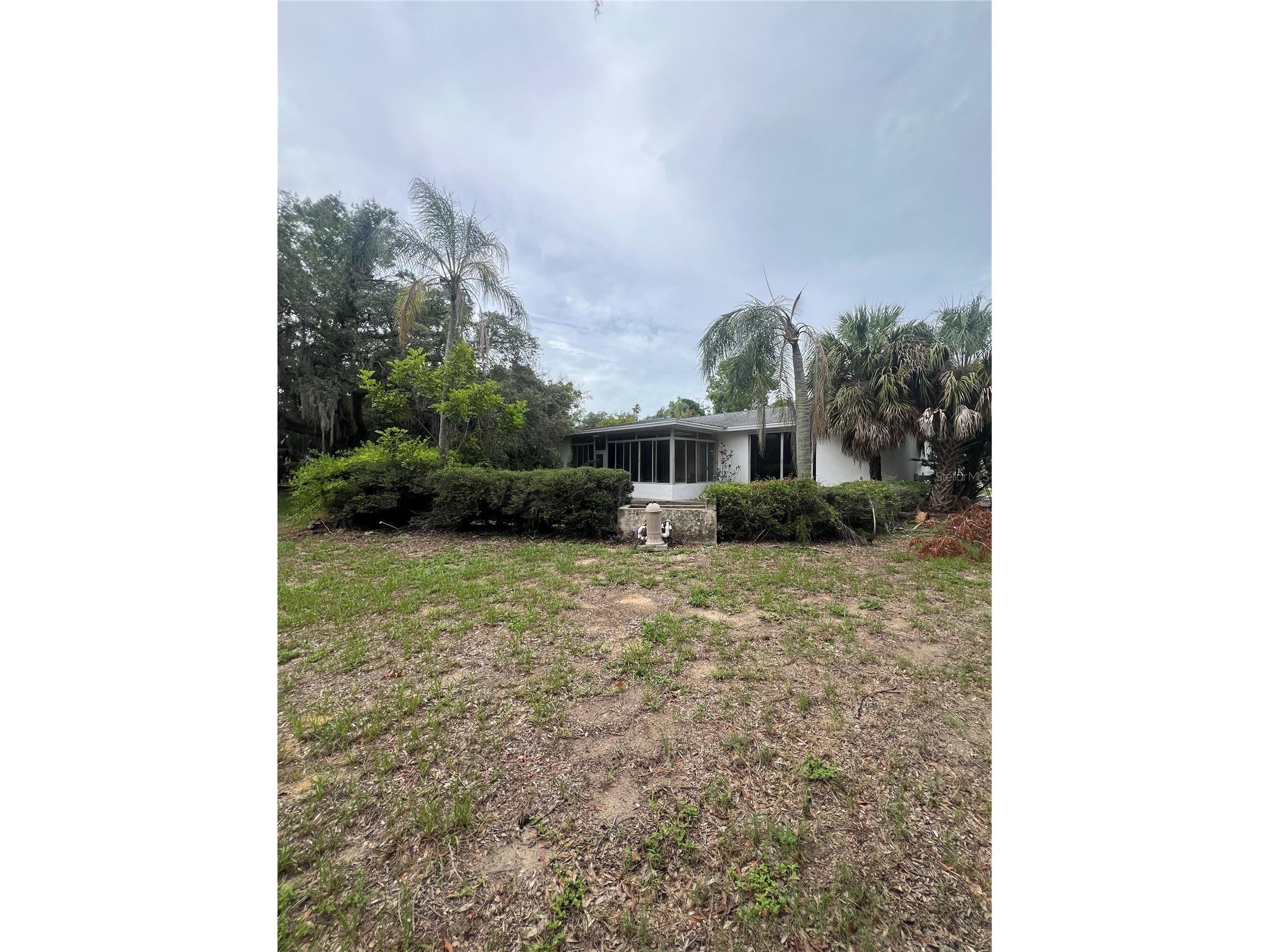 425 Craig Drive Tarpon Springs FL 34689 W7887593 image21