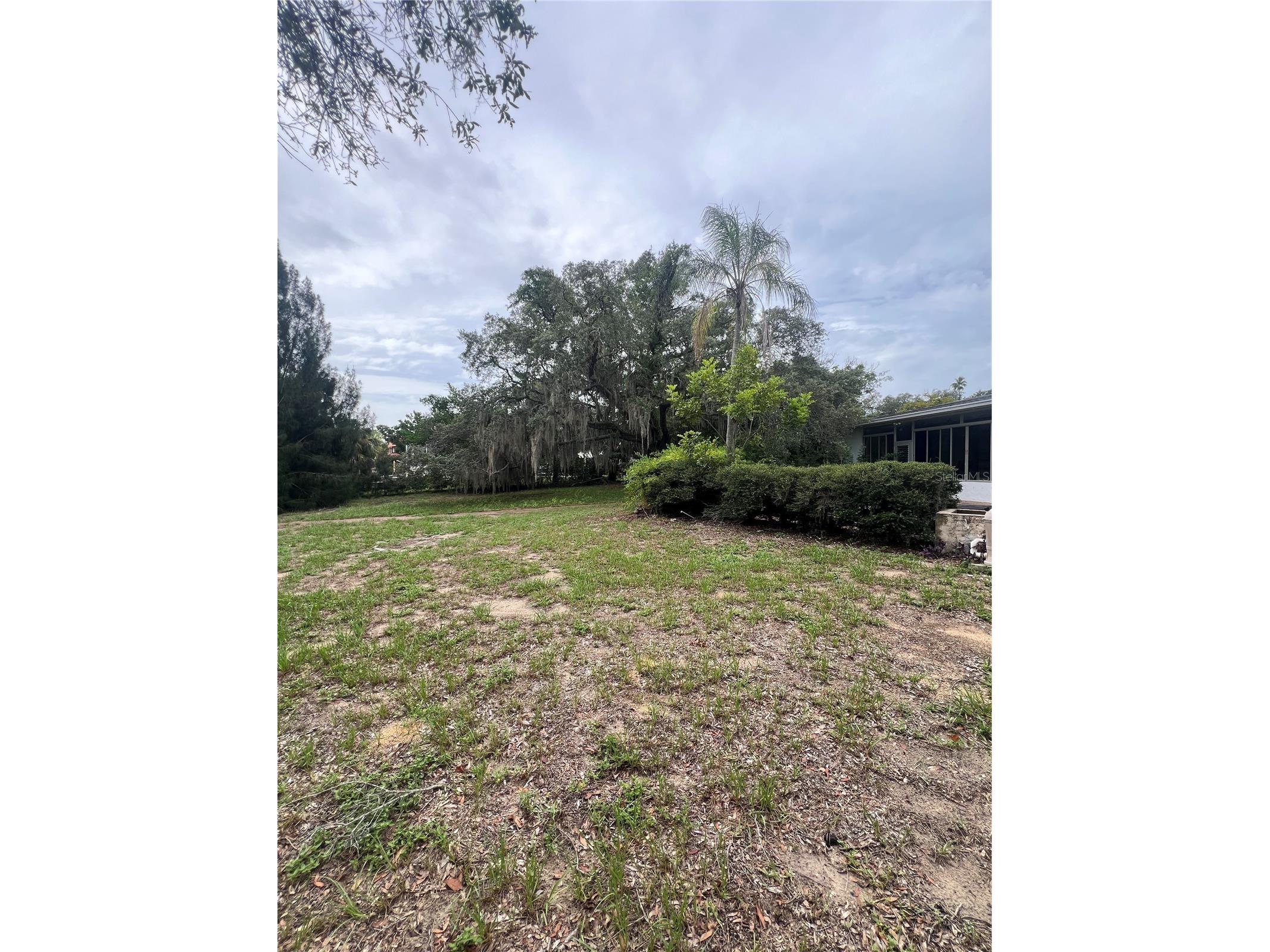 425 Craig Drive Tarpon Springs FL 34689 W7887593 image22