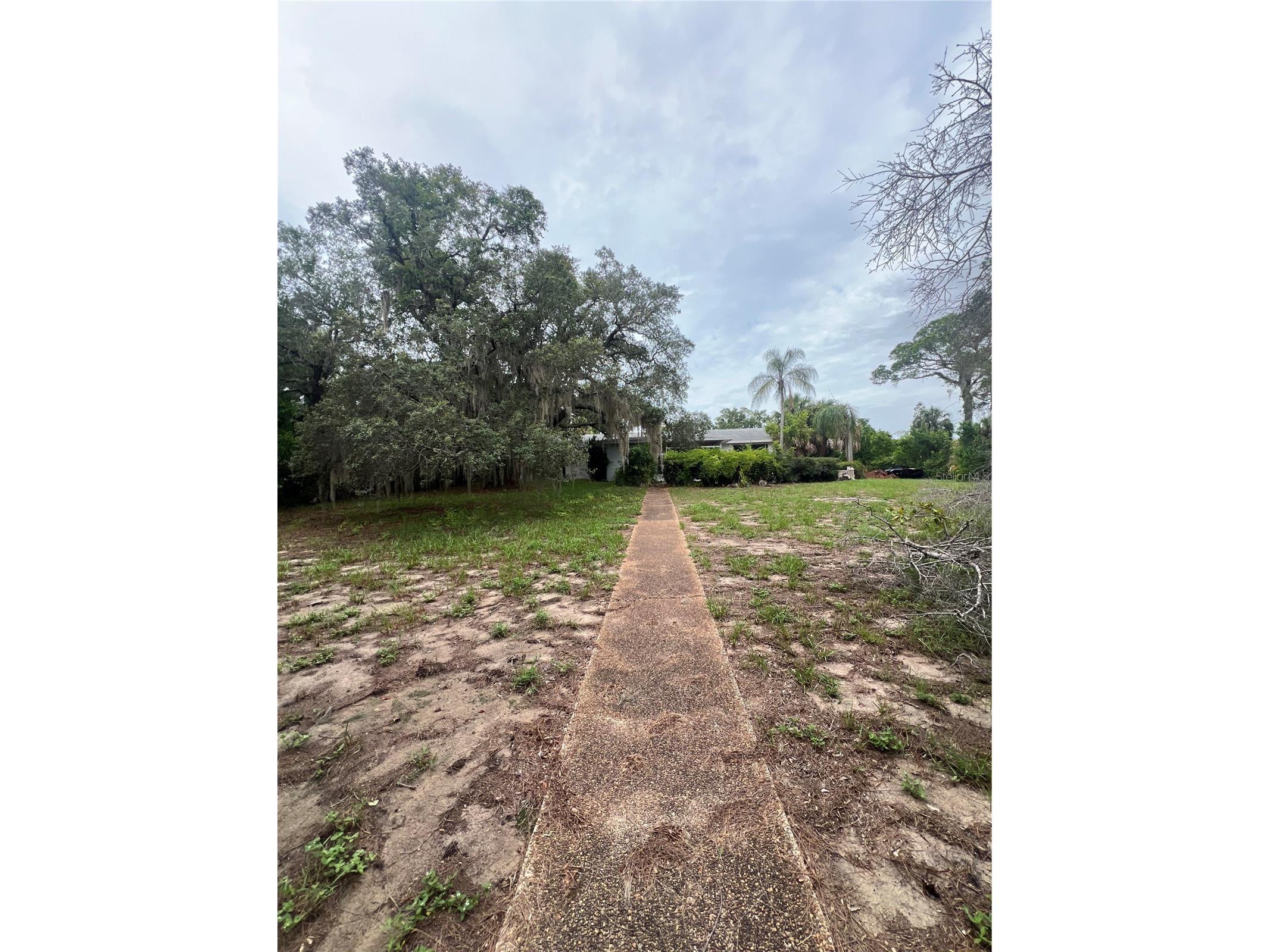 425 Craig Drive Tarpon Springs FL 34689 W7887593 image23