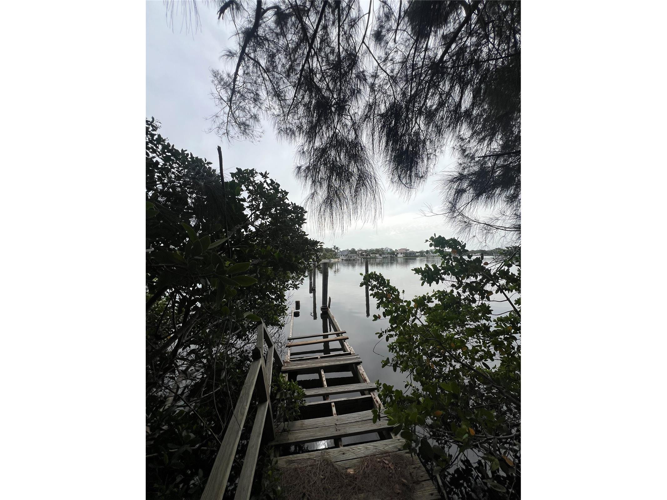 425 Craig Drive Tarpon Springs FL 34689 W7887593 image25