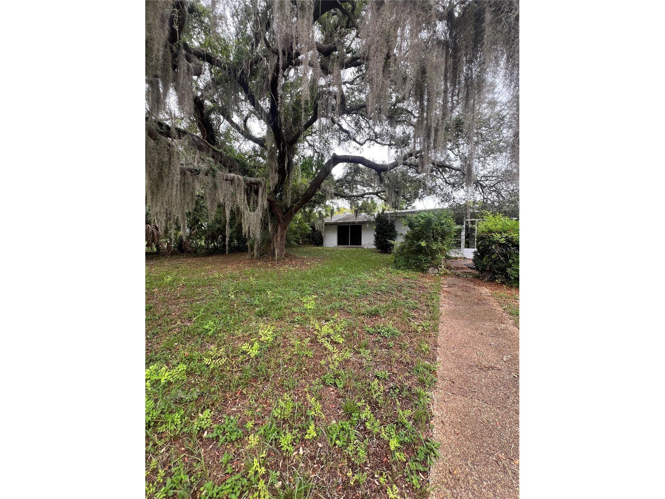 425 Craig Drive Tarpon Springs FL 34689 W7887593 image26