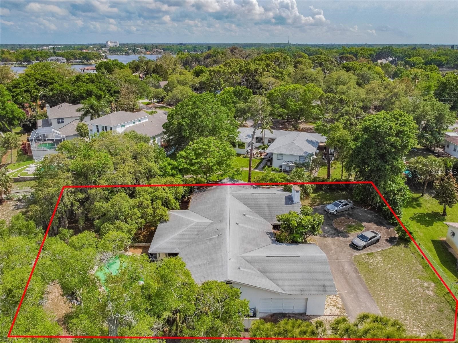 425 Craig Drive Tarpon Springs FL 34689 W7887593 image6
