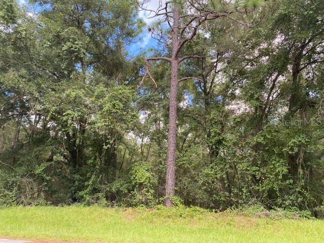 425 E Elgrove Drive Citrus Springs FL 34434 OK221867 image1