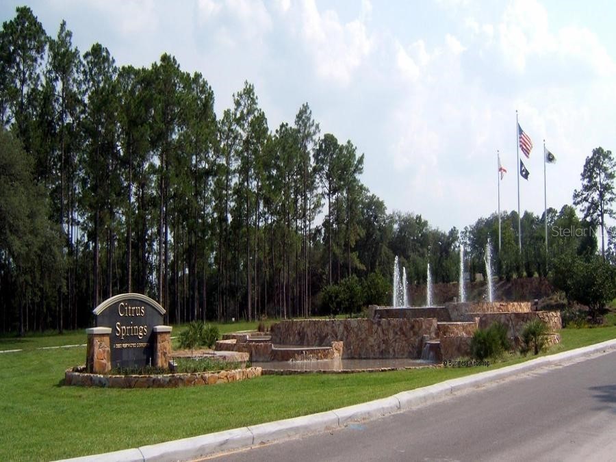 425 E Elgrove Drive Citrus Springs FL 34434 OK225551 image16