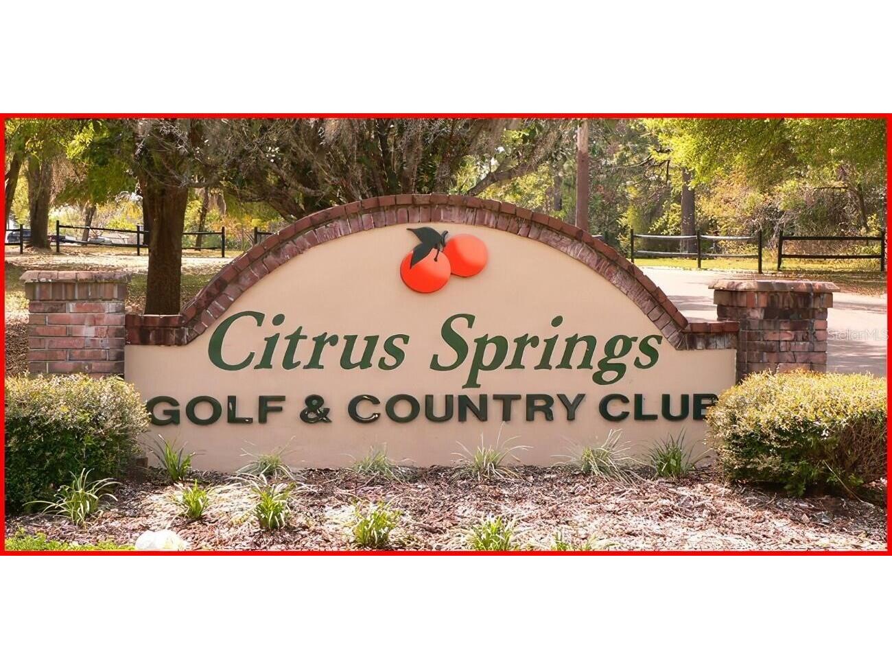 425 E Elgrove Drive Citrus Springs FL 34434 OK225551 image17