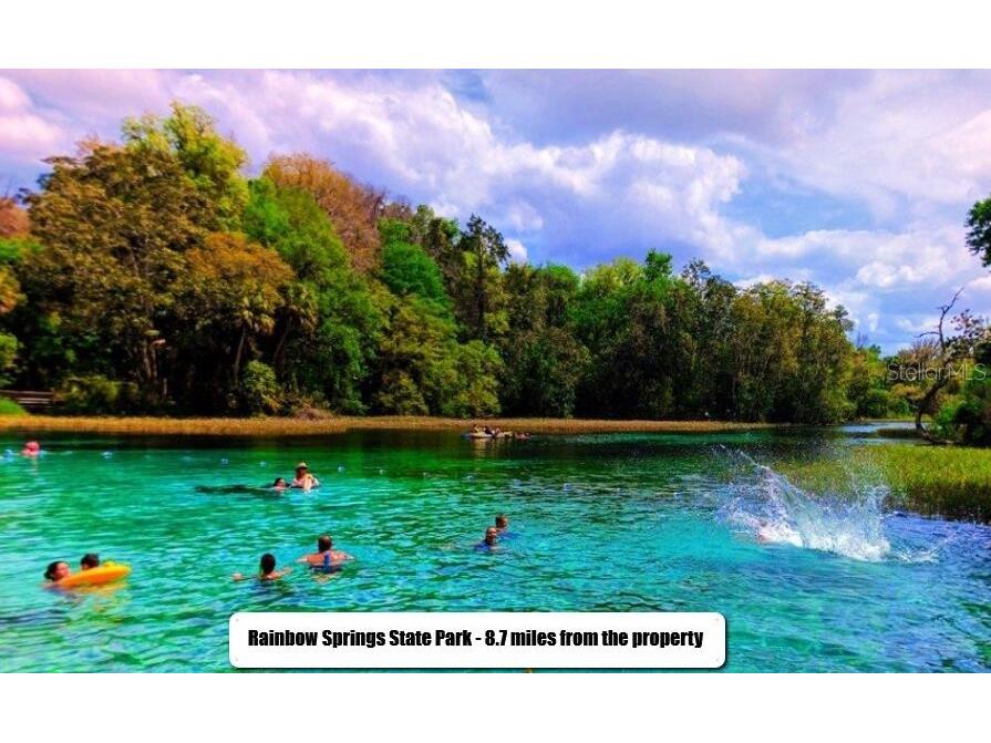 425 E Elgrove Drive Citrus Springs FL 34434 OK225551 image19