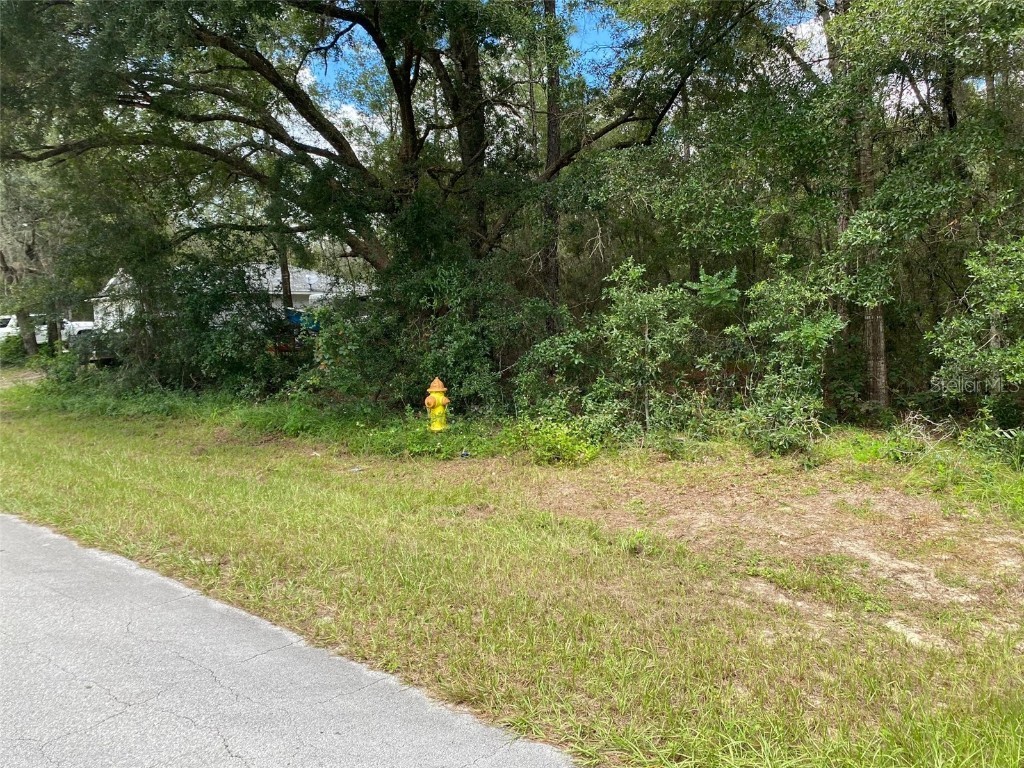 425 E Elgrove Drive Citrus Springs FL 34434 OK225551 image8