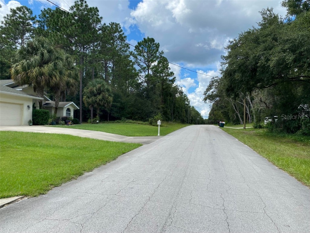 425 E Elgrove Drive Citrus Springs FL 34434 OK225551 image9