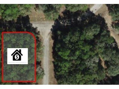 425 E Mcfaddin Place Dunnellon FL 34434 O6288068 image1