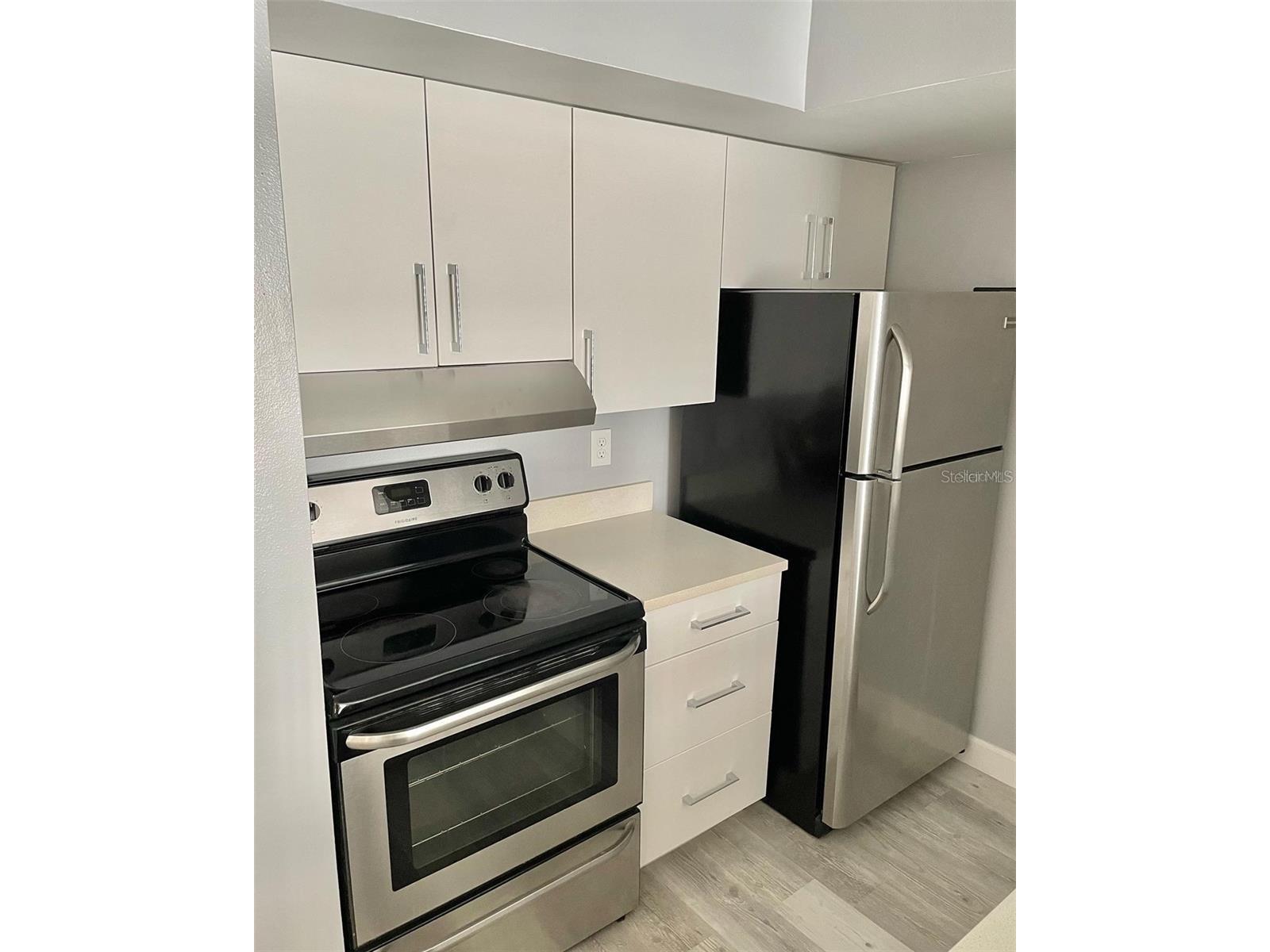 425 Fountainhead Circle #208 Kissimmee FL 34741 S5153033 image4