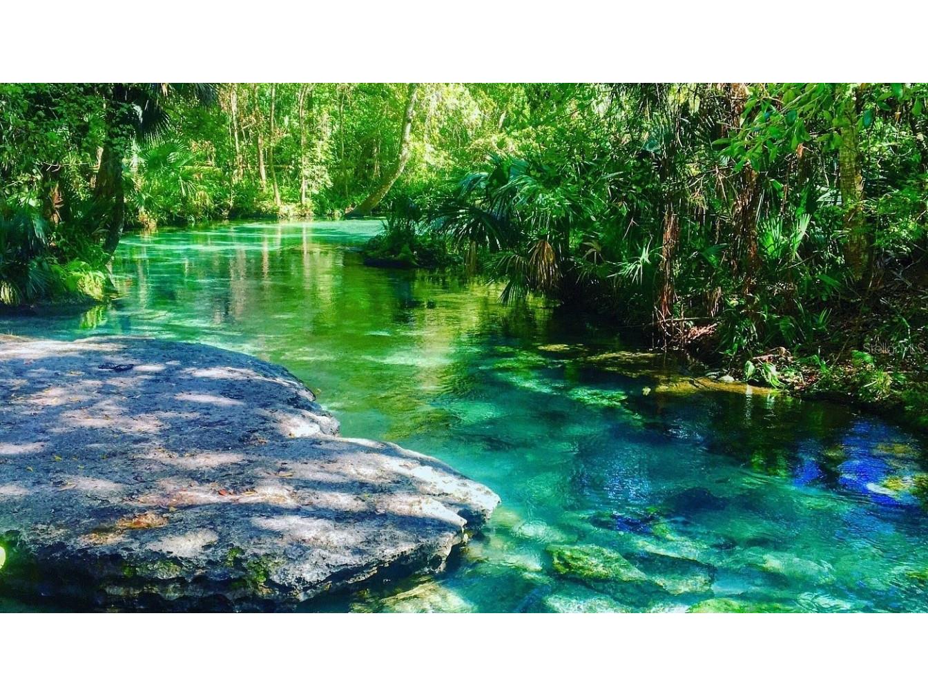 425 Orchard Drive Apopka FL 32703 W7880174 image7